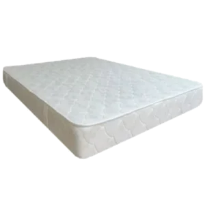 Colchon-Clinico-D20